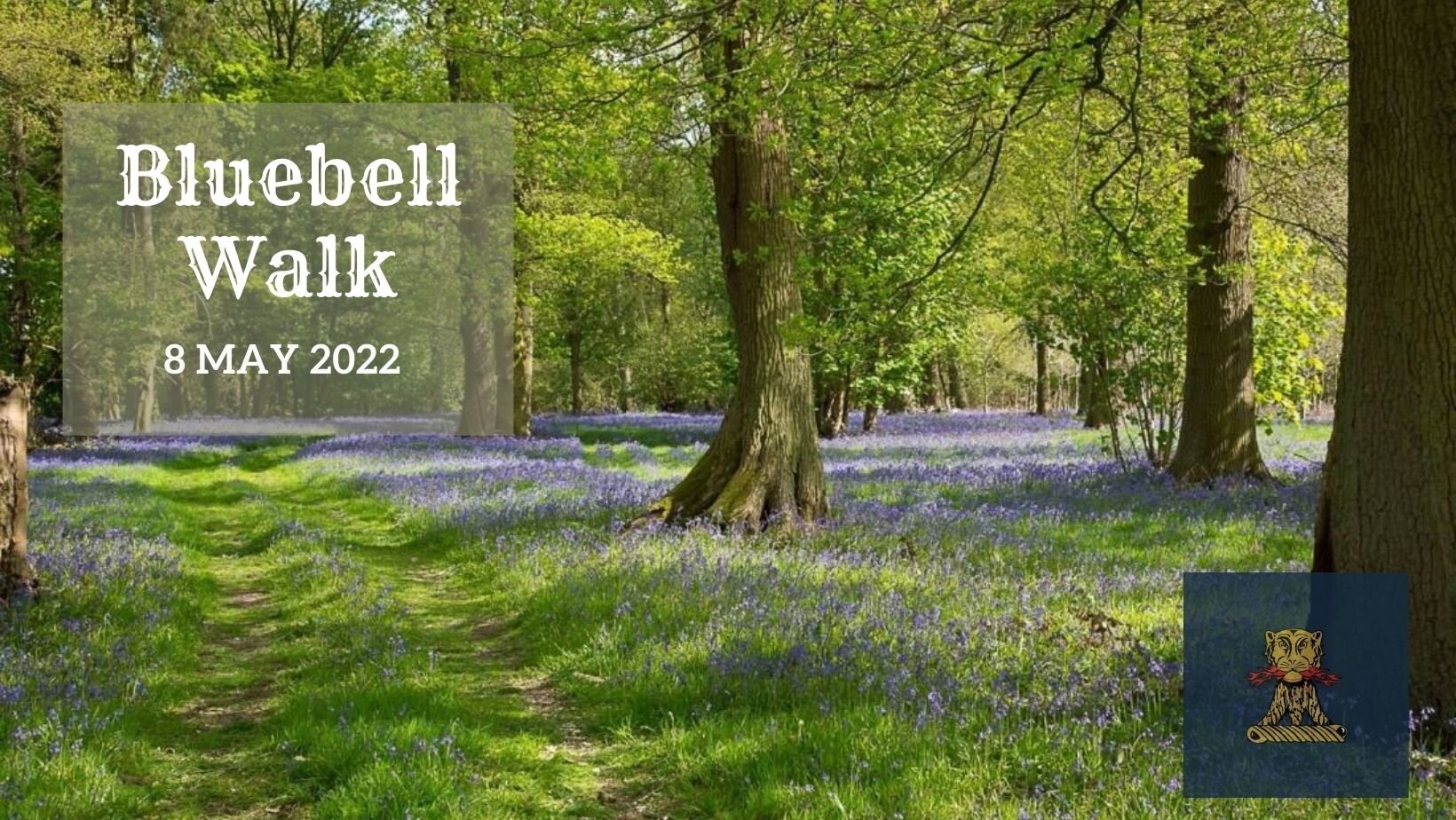 Bluebell Walk | 8 May 2022