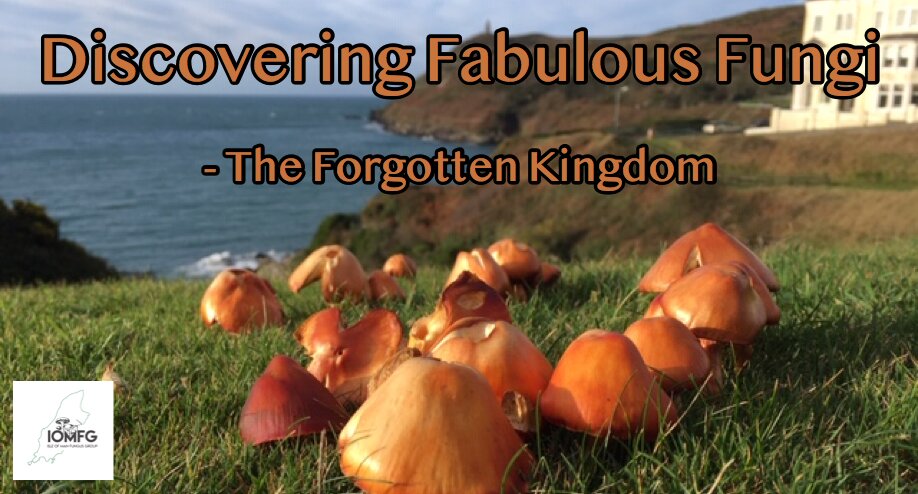 Discovering Fabulous Fungi – The Forgotten Kingdom