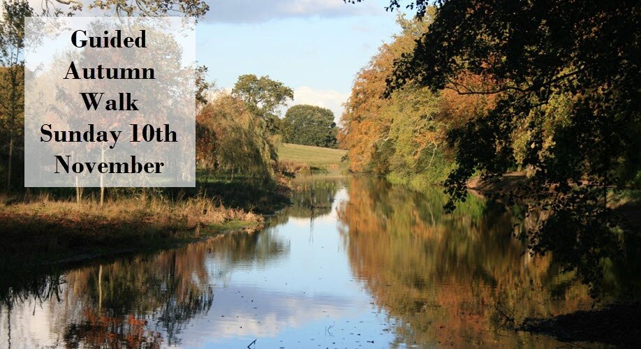 Guided Autumn Walk  | Sunday 10th November 2024