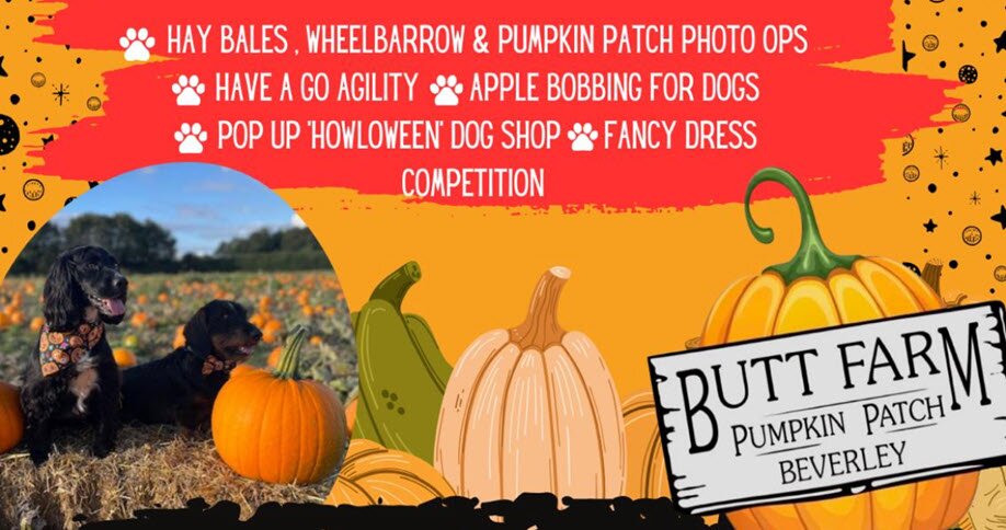 20th October | Howloween Pumpkin Picking for Dogs at Butt Farm