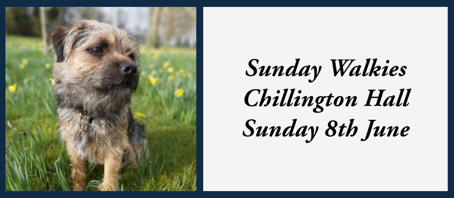 Sunday Walkies | Chillington Hall