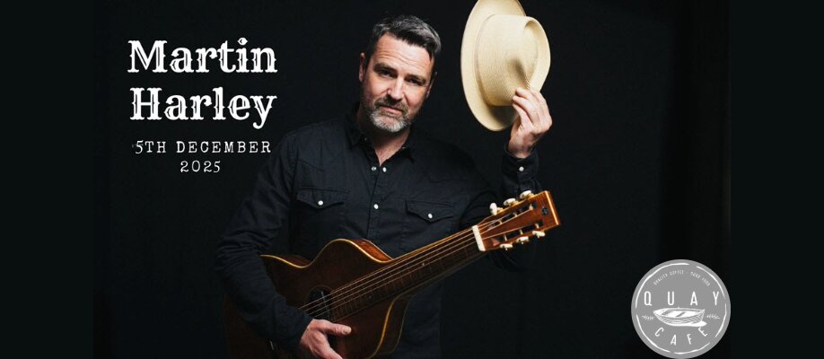 Martin Harley Solo
