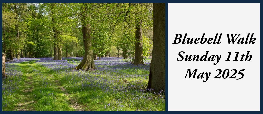 Bluebell Walk | Sunday 11th May 2025