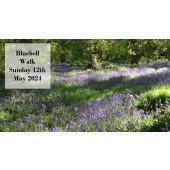 Bluebell Walk | Sunday 12th May 2024