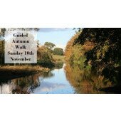 Guided Autumn Walk  | Sunday 10th November 2024