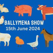 Ballymena Show 2024