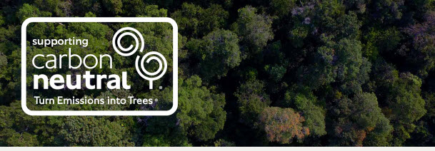 Tree Canopy at Rimba Raya Bio Diversity Reserve