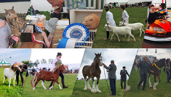 Emley Show